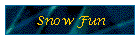 Snow Fun